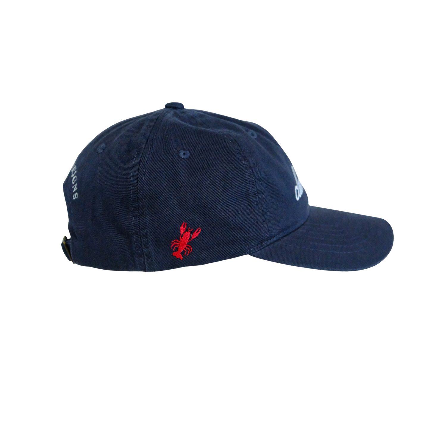 the clubhouse navy hat