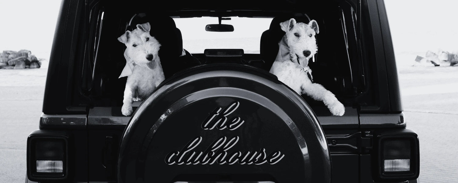 The Clubhouse Collection